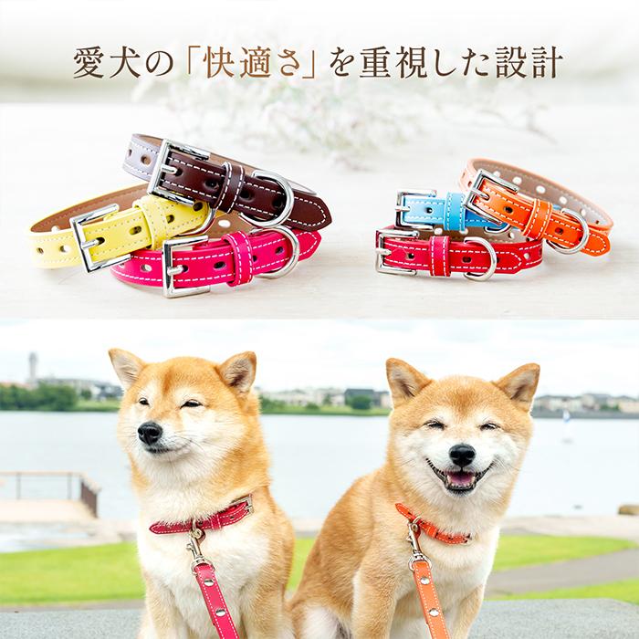 犬の首輪屋てるべる 犬 首輪 犬首輪 犬の首輪 おしゃれ かわいい