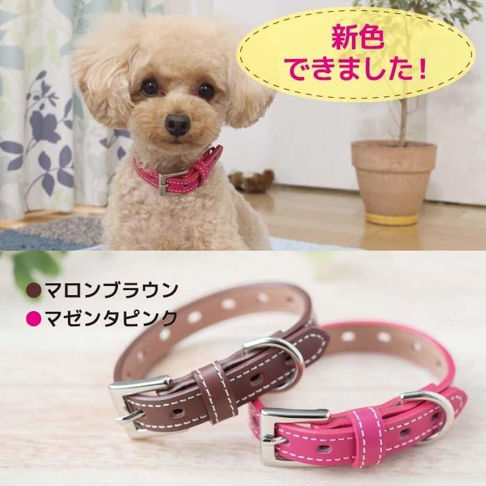 犬 首輪 犬首輪 犬の首輪 おしゃれ かわいい ブランド 迷子札 中型犬 小型犬 小型犬用 超小型犬 いぬ くびわ 革 レザー 皮 軽い 柴犬 チワワ Otm 1 Otm 1 犬の首輪屋てるべる 通販 Yahoo ショッピング