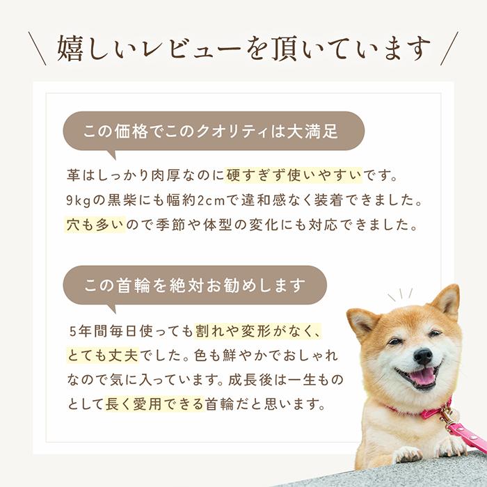 未使用　未開封　中型犬　首輪　Mサイズ　イエロー 楽天市場】首輪 犬 小型犬 中型犬 グラス 黄緑 M L コーギー