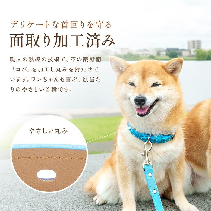 犬の首輪屋てるべる 犬 首輪 犬首輪 犬の首輪 おしゃれ かわいい