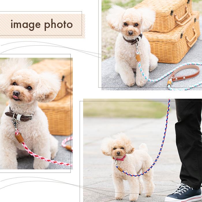 犬の首輪屋てるべる リード 犬 犬リード おしゃれ 中型犬 小型犬 パラ