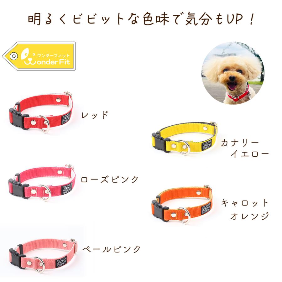犬の首輪屋てるべる ワンダーフィット 犬首輪 日本製 全14色 : 犬の