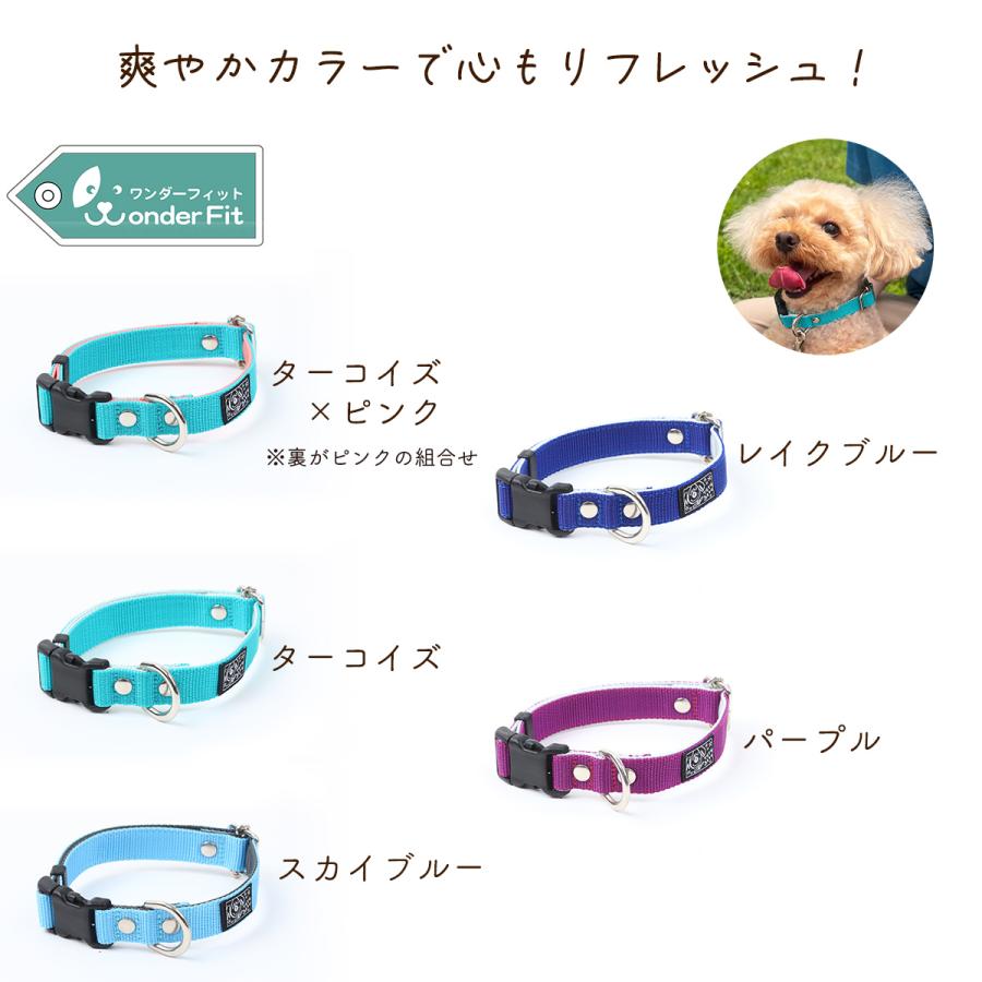 ワンダーフィット 犬首輪 日本製 全14色 | 犬の首輪屋てるべる | 22