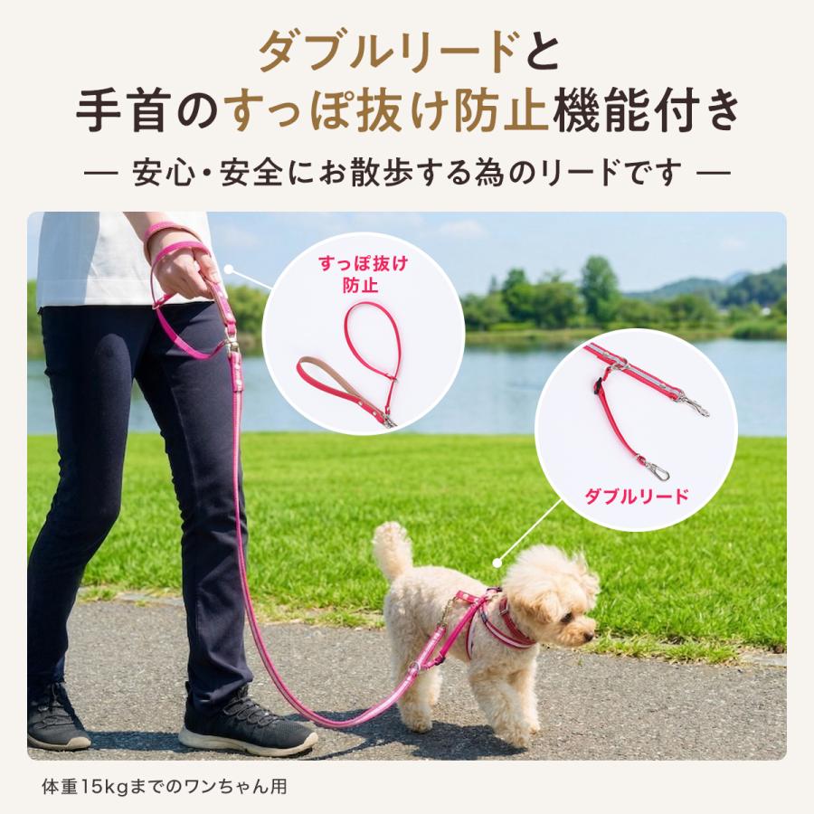 犬の首輪屋てるべる ダブルリード 反射 光る 夜間 夜道 目立つ 散歩