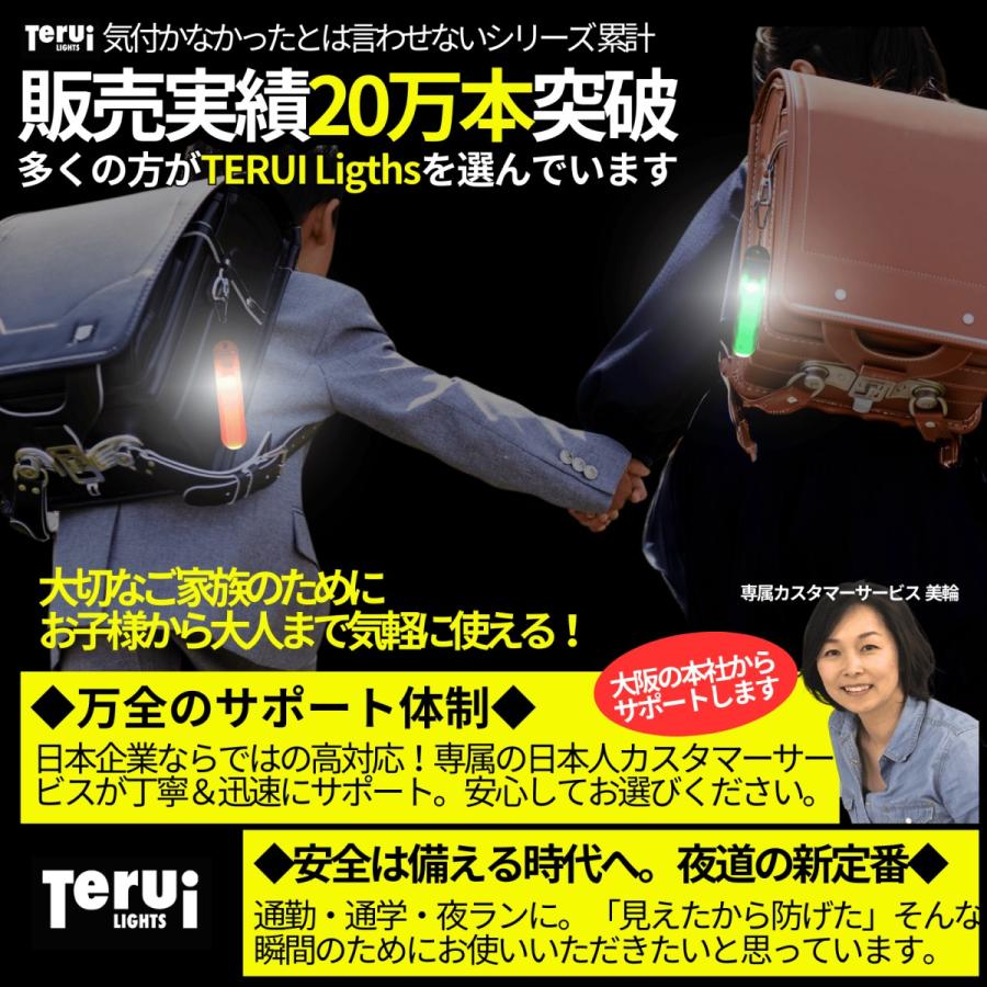 TERUI Lights 反射板 光る キーホルダー LED ライト 吊下式