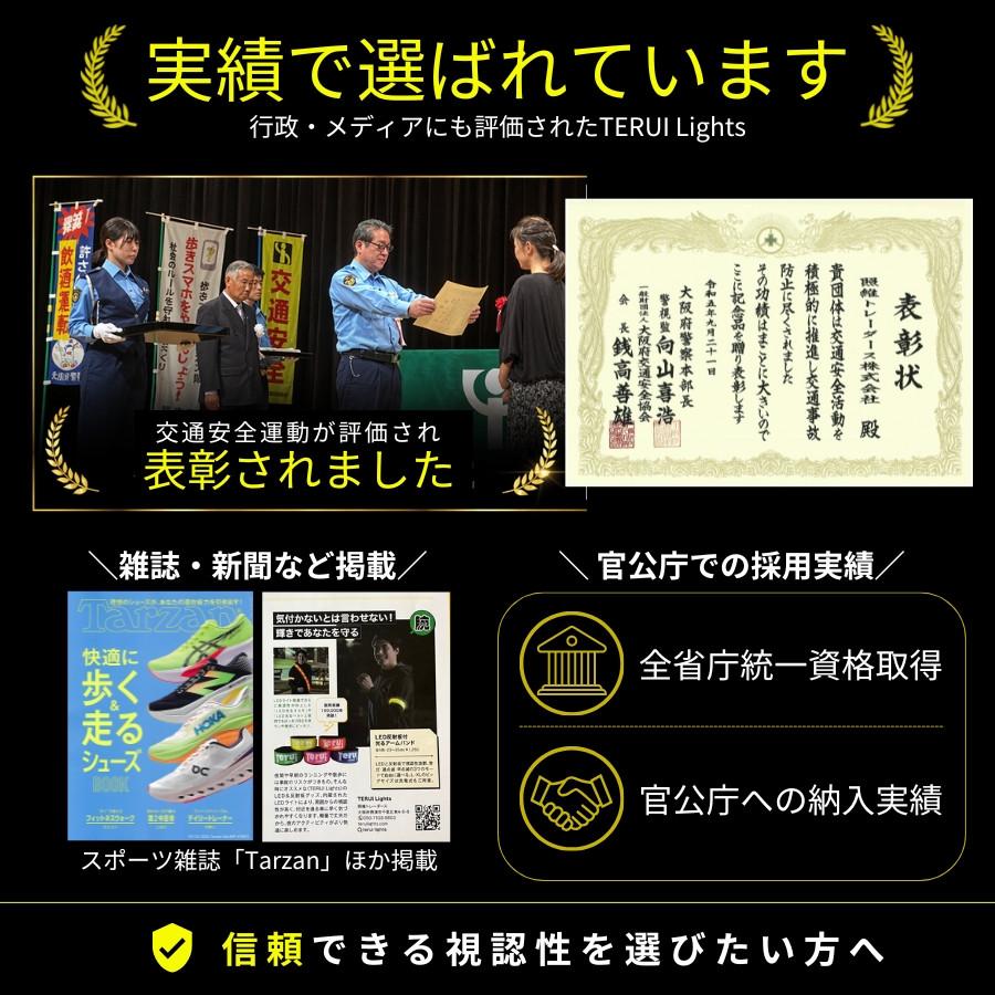 TERUI Lights 反射板 光る キーホルダー LED ライト 吊下式