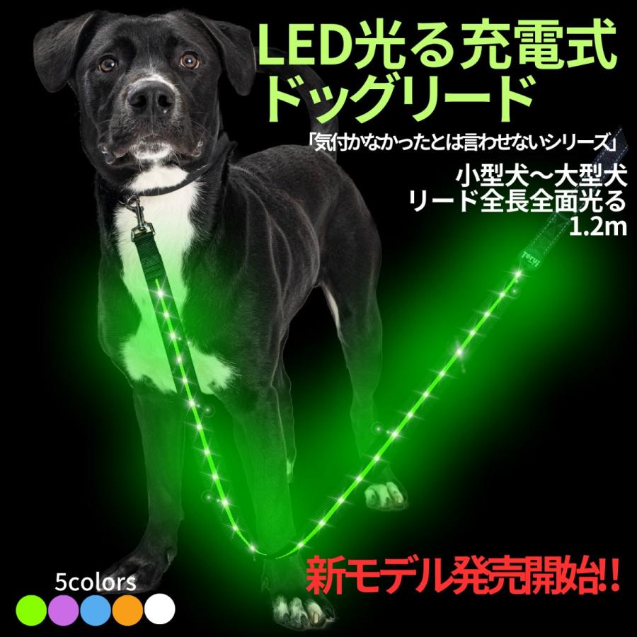 TERUI Lights 犬 リード 光る led ライト付き 充電式 1.2m ドッグ