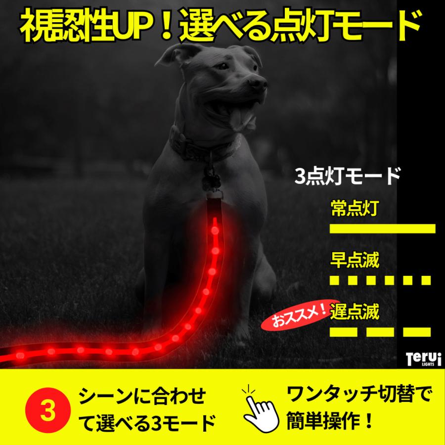 TERUI Lights 犬 リード 光る led ライト付き 充電式 1.2m ドッグ
