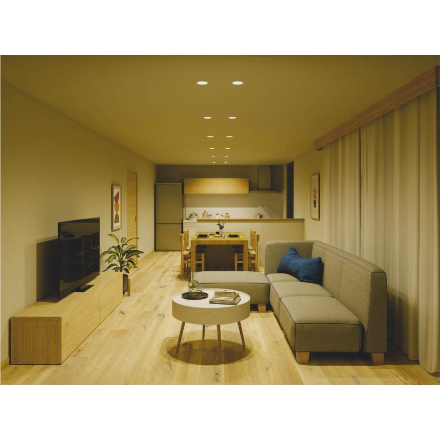 AD7325W99 コイズミ 100W相当 φ100 ダウンライト ベースタイプ 散光