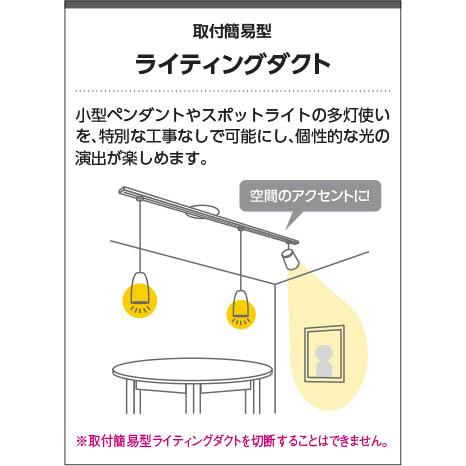 ダクトレール ロングタイプ AE42172E コイズミ照明 ロングタイプ ダクトレール ロングタイプ AE42172E コイズミ照明 ロングタイプ