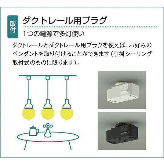 在庫品 DP-42034WDS DAIKO 簡易取付式配線ダクトレール ロングタイプ