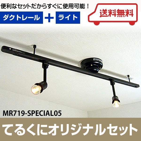 てるくにオリジナルセット ワンタッチダクトレールハロゲンスポット2個付スペシャルキット ブラック [白熱灯]MR719-SPECIAL05