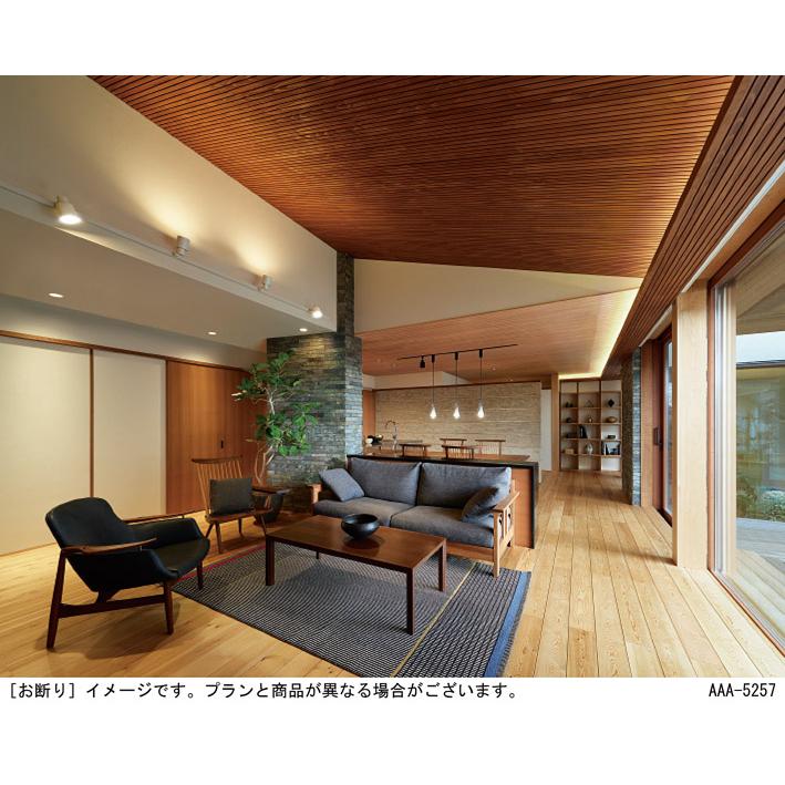 在庫品 XAS3502LCE1 パナソニック 配線ダクトレール用LEDスポット