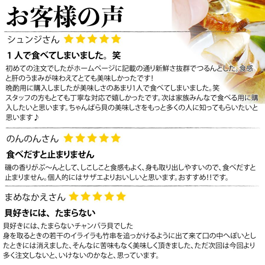 【即発送】★石垣島の法螺貝 ほら貝 おまけ付き★　約32〜37cm 1kg 天然 楽天市場】【法螺貝】ほら貝 大 37センチ : 三島屋楽器