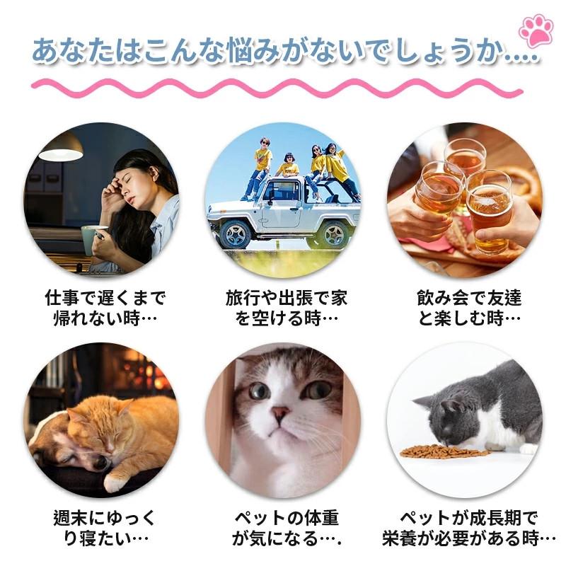 【24時間限定価格】自動給餌器 カメラ付き 猫 犬 ペット給餌器 3L 大容量 スマホ連動 遠隔操作 録音機能 自動餌やり機 いたずら防止 定時定量 1年保証｜teruyukimall｜02