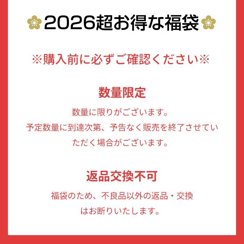 福袋 2026年 闇福袋 厳選商品4点入り 超お得な福袋 イオン導入美顔器