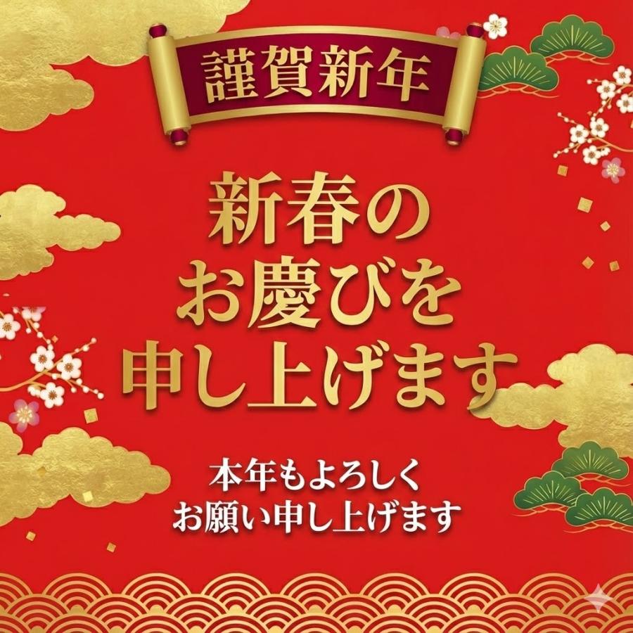 福袋 2026年 闇福袋 超お得セット50人限定 厳選商品4点入り 中身が見え