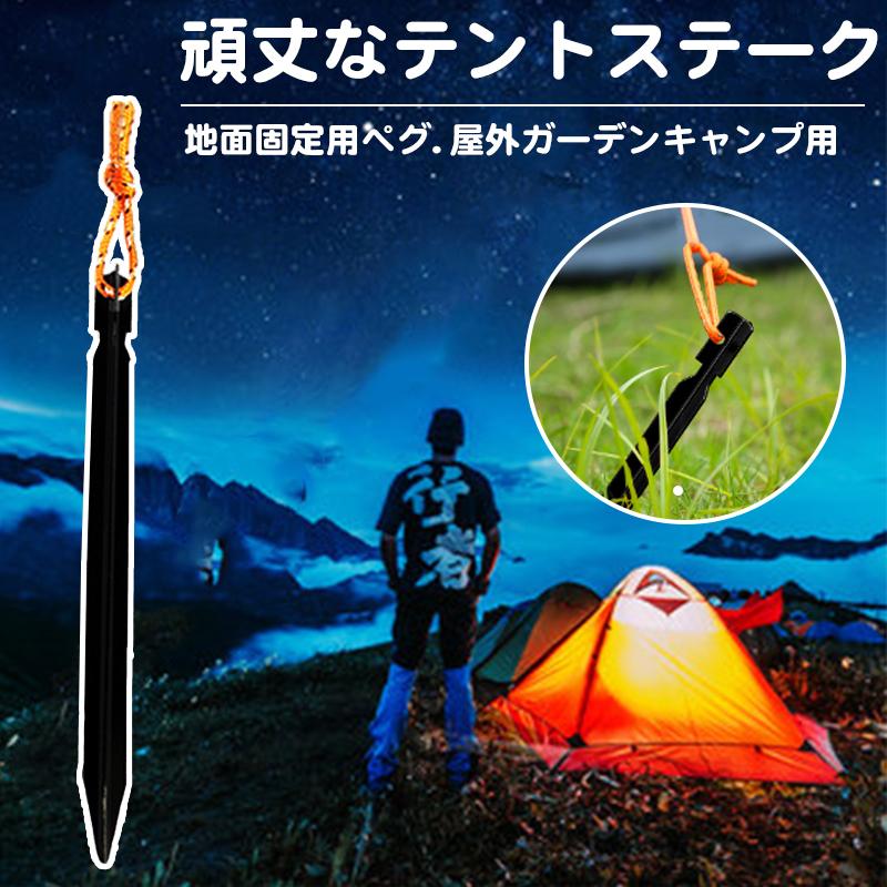  peak テント設営用金属製ペグ　17本 peak テント設営用金属製ペグ 17本