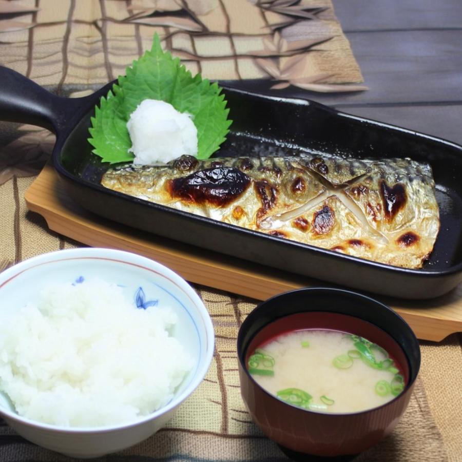 グリルパン 魚焼きグリル グリルプレート 陶器 萬古焼 ハーフ 2個