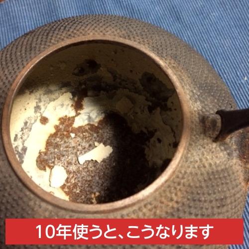 南部鉄器 鉄瓶 0.8L 直火 てまり 南部鉄瓶 やかん 鉄分補給 貧血予防 ホーロー加工なし 日本製 |  | 06