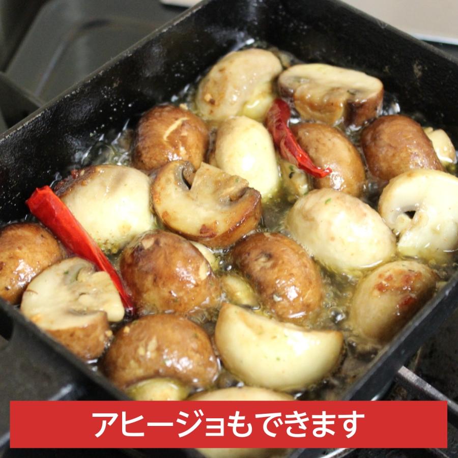南部鉄器 フライパン 卵焼き器 鉄 IH対応 玉子焼き スキレット 13cm