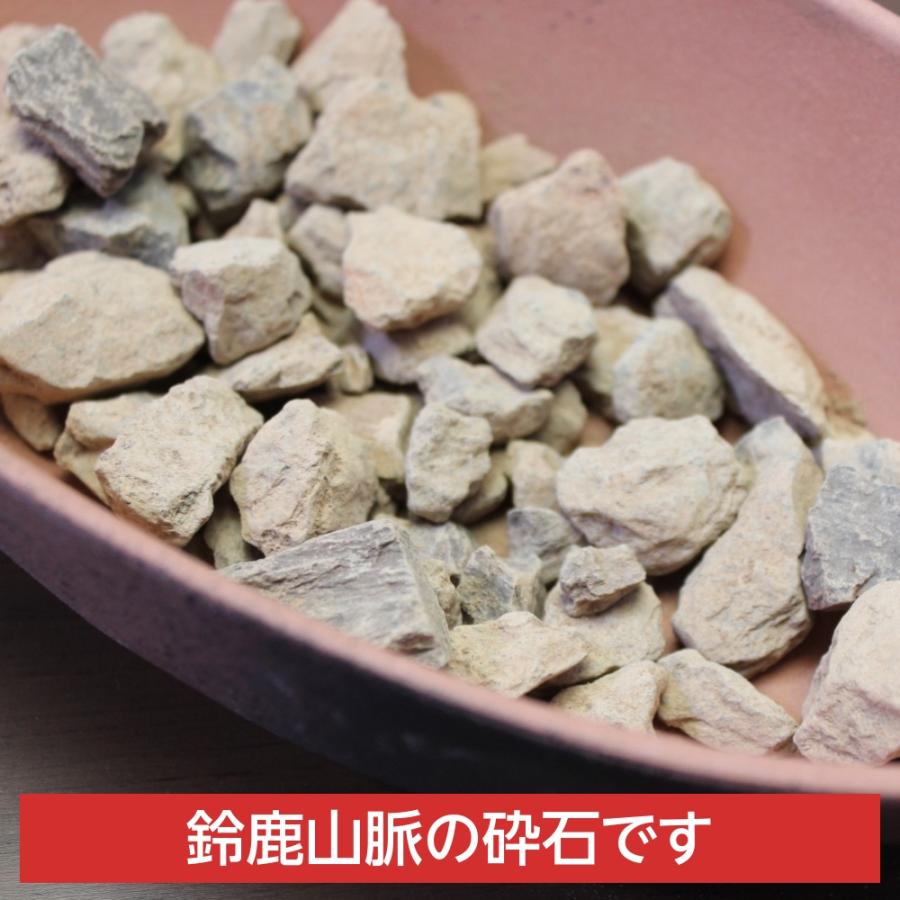 焼き芋メーカー 焼き芋機 焼き芋器 家庭用 電子レンジ専用調理器