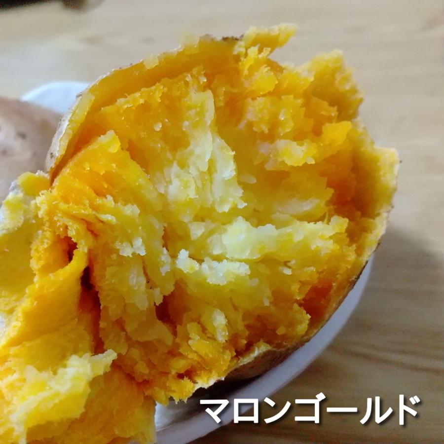 焼き芋メーカー 焼き芋機 家庭用 レンジ 焼き芋器 焼き芋鍋 電子レンジ