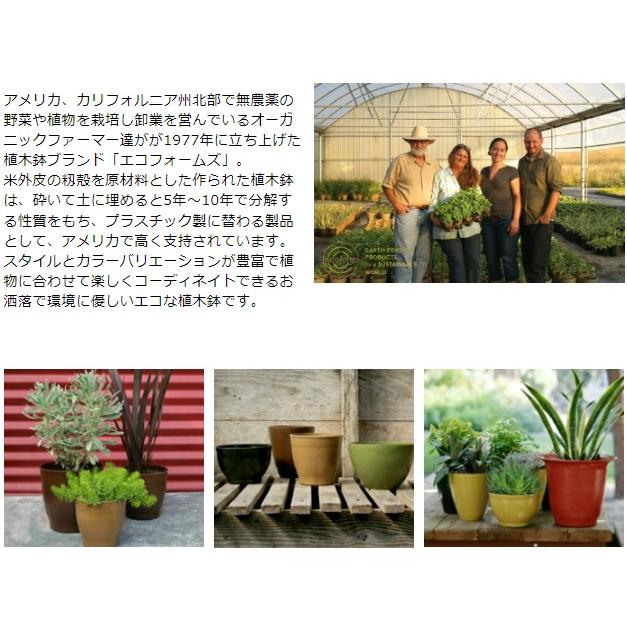 Ecoforms(エコフォームズ) ソーサー14天然素材の植木鉢ガーデニング