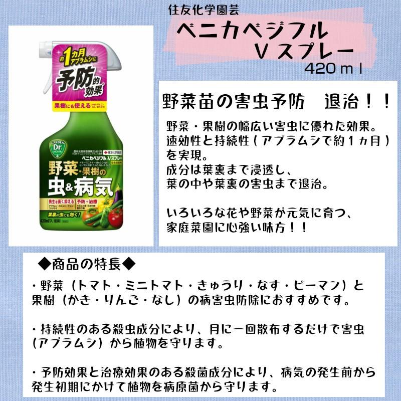 てしまの資材 住友化学園芸 ベニカベジフルVスプレー 420ml 液肥 野菜苗 花 ガーデニング｜teshimanonaeya｜02