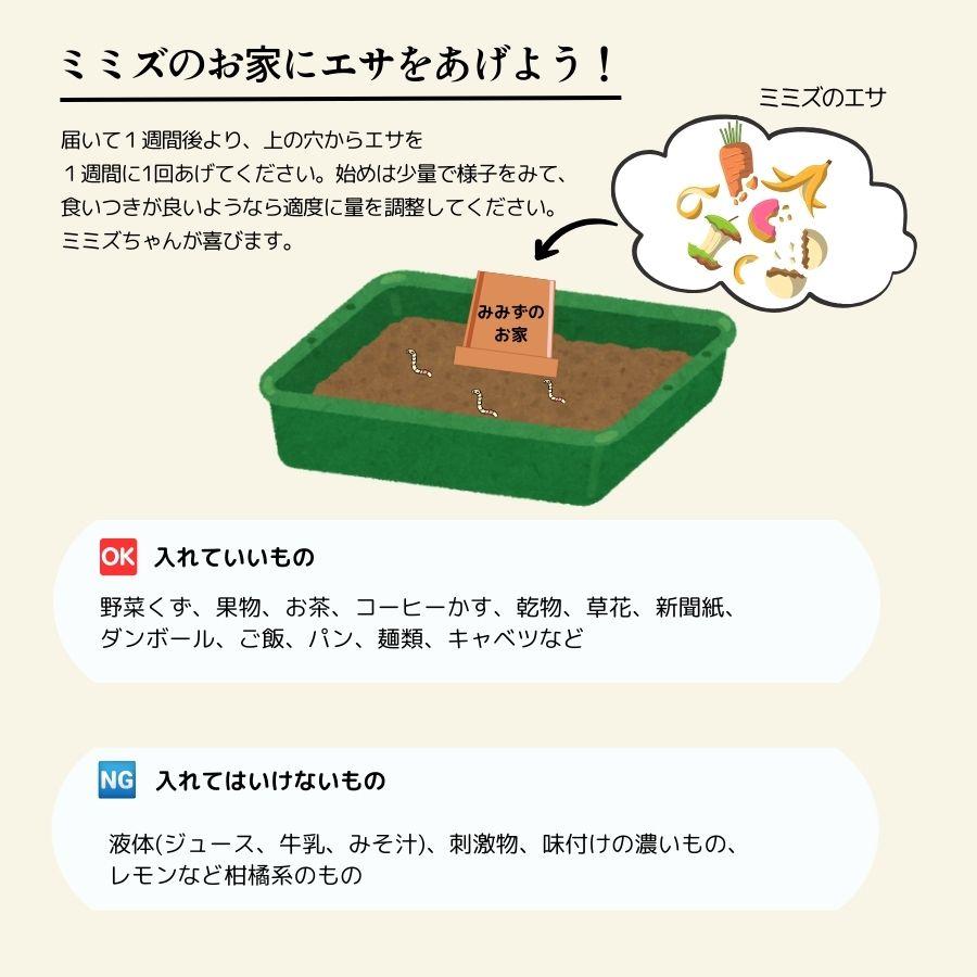 資材】 ミミズのお家 約1L 5号鉢付き 土壌活性剤 みみず : てしまの苗