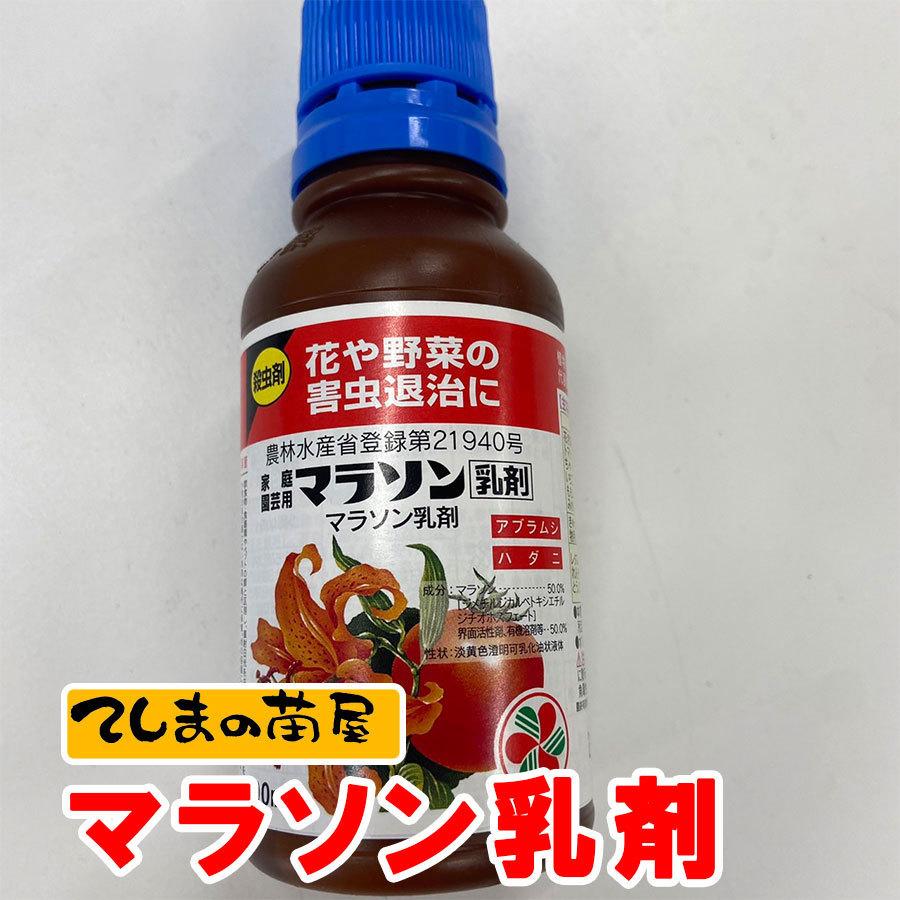 てしまの資材 殺虫剤マラソン乳剤 100ml｜teshimanonaeya