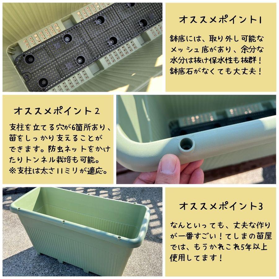 てしまの資材 菜園用プランター どんな野菜でも栽培可能！てしまの苗屋