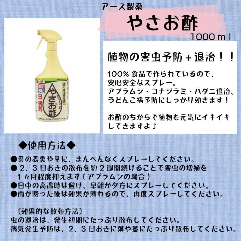 情熱セール アースガーデン やさお酢 あらゆる植物の病気と虫の予防スプレー 1000ml 特定防除資材 家庭菜園 ガーデニング 園芸用 防虫 病害虫対策 アブラム シコナジラミ ハダニの予防 うどんこ病の予防 アースガーデン ロハピ やさお酢 2本セット 家庭菜園