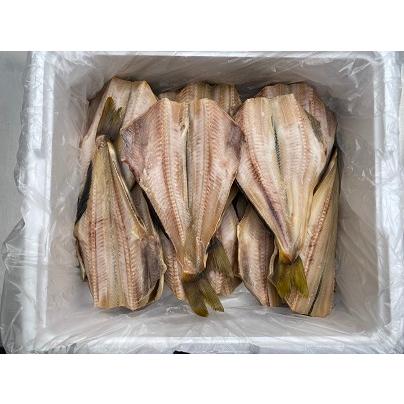 ほっけ開き干し（鹽竈加工）業務用１0入れ Lサイズ