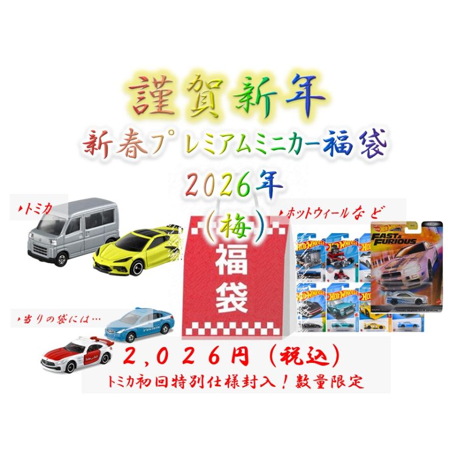 謹賀新年】 2026年 新春 ミニカー 福袋 「梅」 : Tesoro.net - 通販