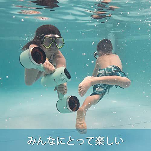 驚きの安さ驚きの安さSUBLUE WHITESHARK MIX 水中スクーター