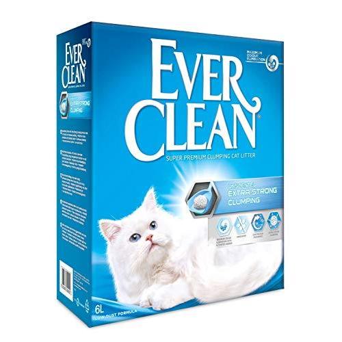 Everclean エバークリーン 無香タイプ 6L 正規輸入品 61％以上節約