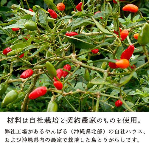 沖縄県産 島とうがらし やんばるヒリヒリ 10g 一味 激辛 こーれーぐーす 粉末 乾燥 国産 無添加 唐辛子 |  | 02