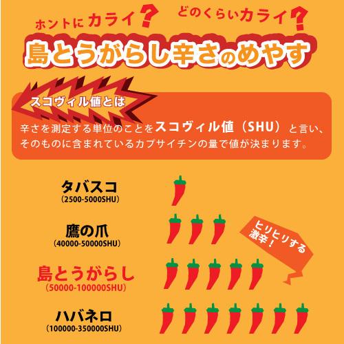 沖縄県産 島とうがらし やんばるヒリヒリ 10g 一味 激辛 こーれーぐーす 粉末 乾燥 国産 無添加 唐辛子 |  | 03