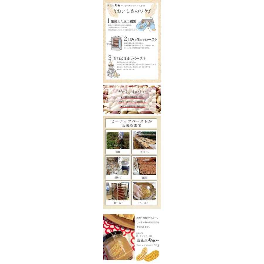 沖縄県産落花生100 落花生ぐゎーピーナッツペースト プレミアムプレーン85g 砂糖不使用 国産 ピーナッツバター Peanut003 Tete Pantry 通販 Yahoo ショッピング