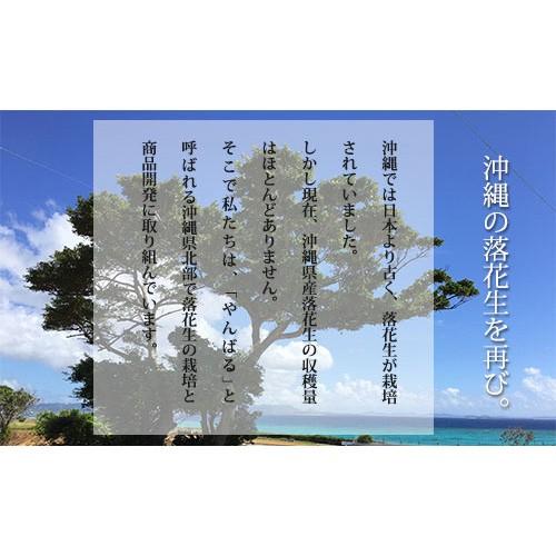 沖縄県産落花生100% 落花生ぐゎーピーナッツペースト　プレミアムプレーン85g 砂糖不使用 国産 ピーナッツバター |  | 02