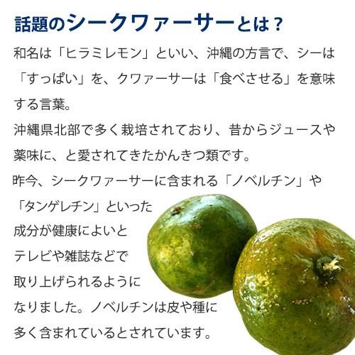 沖縄県産 まるごと粉末シークワァーサー　30g 国産 無添加 粉末 パウダー 調味料 製菓 料理 低温 乾燥 ドライ |  | 02