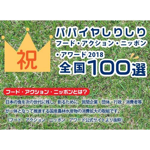沖縄県産 乾燥 野菜　パパイヤしりしり　15g 国産 青 低温乾燥 時短 ドライ 食品 フード アクション ネコポス 保存食 常温 |  | 02