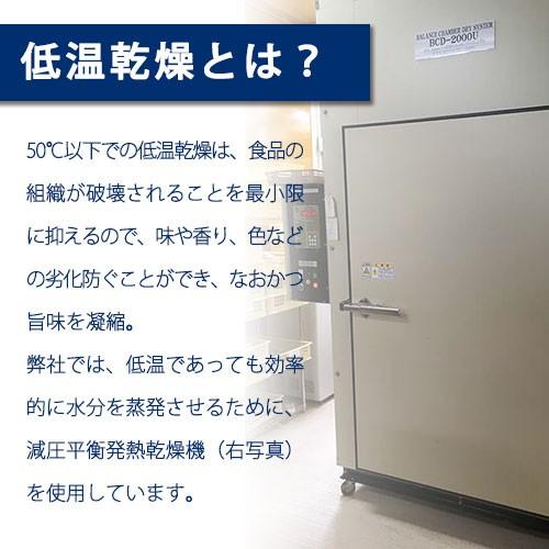 沖縄県産 乾燥 野菜　パパイヤしりしり　15g 国産 青 低温乾燥 時短 ドライ 食品 フード アクション ネコポス 保存食 常温 |  | 07