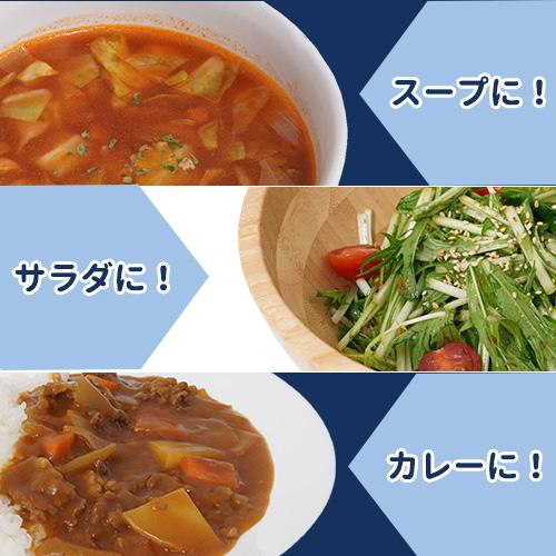 沖縄県産 乾燥 野菜 しりしり 10点セット 送料無料 低温乾燥 青 パパイヤ にんじん ドライ 時短 保存食 フード |  | 05