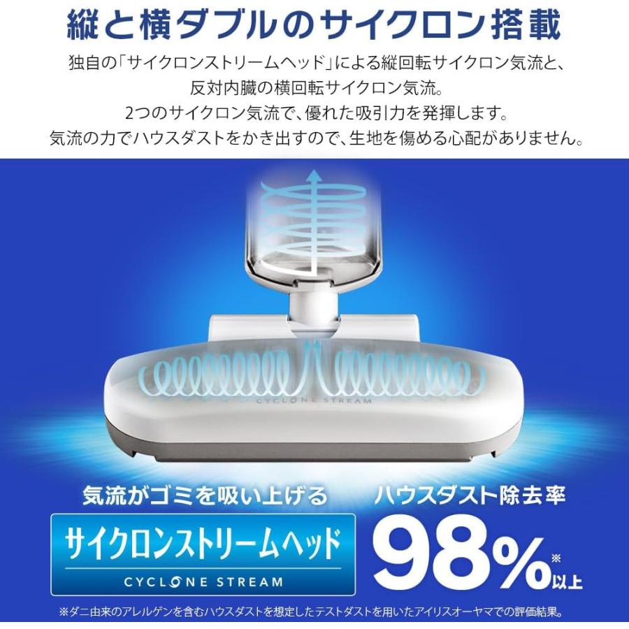 アイリスオーヤマ 布団クリーナー ブラック ダニ対策 たたきヘッド 約