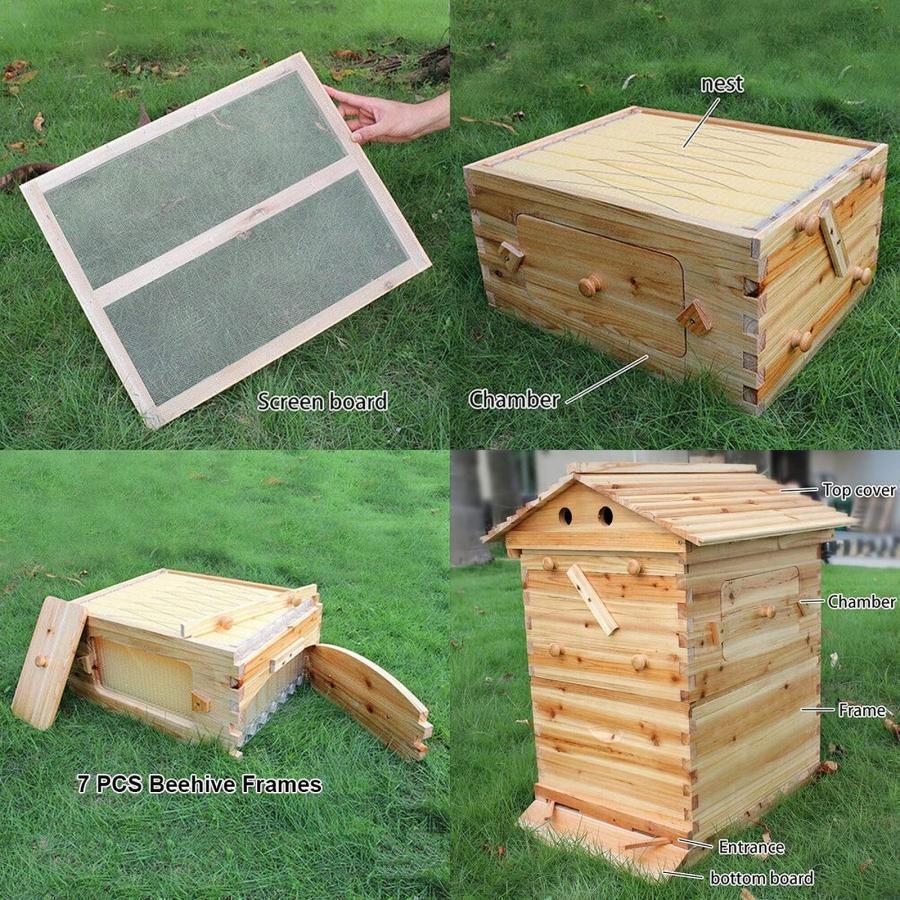最新 蜜蜂巣箱 ミツバチ巣箱 養蜂箱 巣箱 蜂箱 フローハイブ養蜂セット 蜜蜂飼育箱 蜂の巣 ミツバチ飼育箱 ミツバチ養殖 ミツバチの採蜜 巣礎 巣脾 自動ハチミツ採取 【1906383453】(11841円)