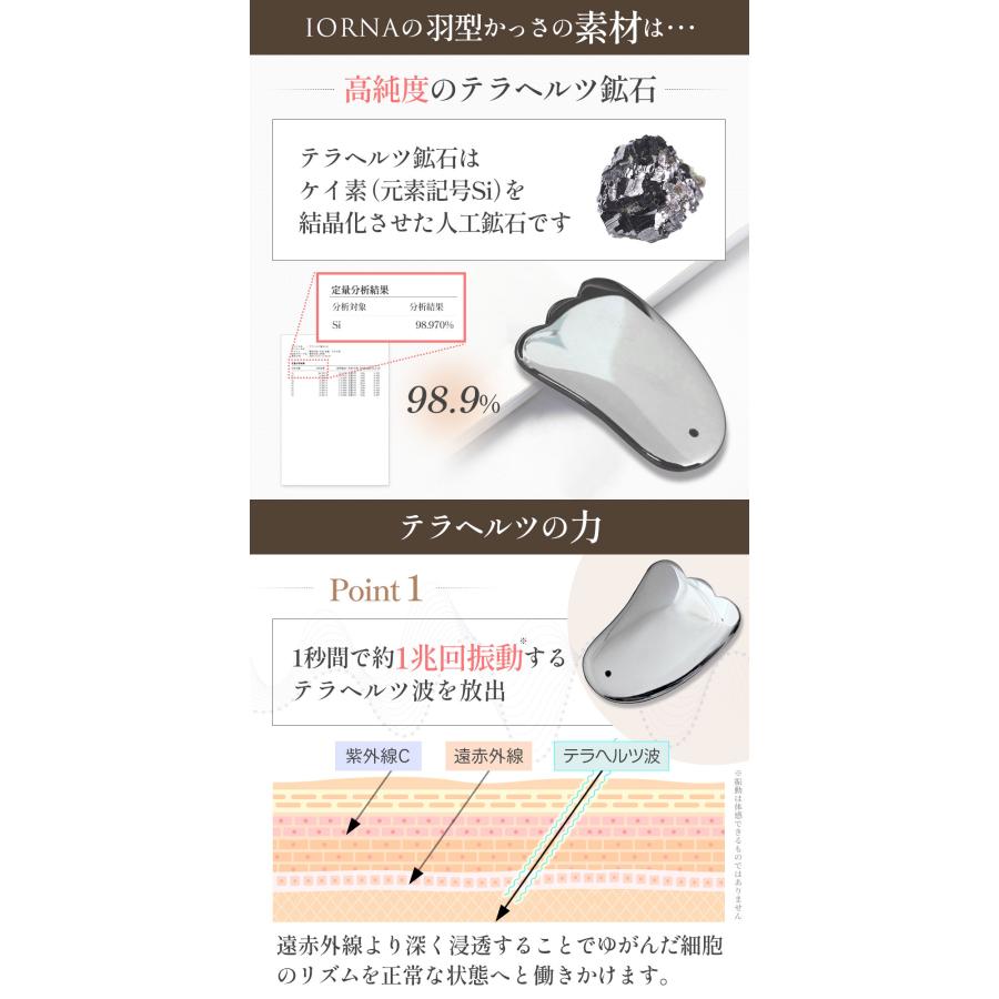 ガッサラウェイさん確認用　裏面 ガッサラウェイさん確認用 裏面 ガッサラウェイさん確認用 裏面