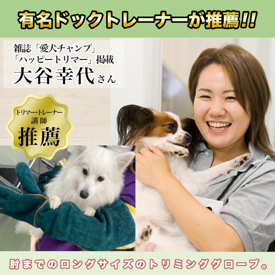 和田工業 有名ドッグトレーナー推薦 ペットグローブ 牛革 厚手 保護手袋 犬 猫 爬虫類 ペット 噛みつき 引っかき 手袋 園芸 キャンプ 耐摩耗性 ロング Wk001 コペルスタイルオンラインy 通販 Yahoo ショッピング
