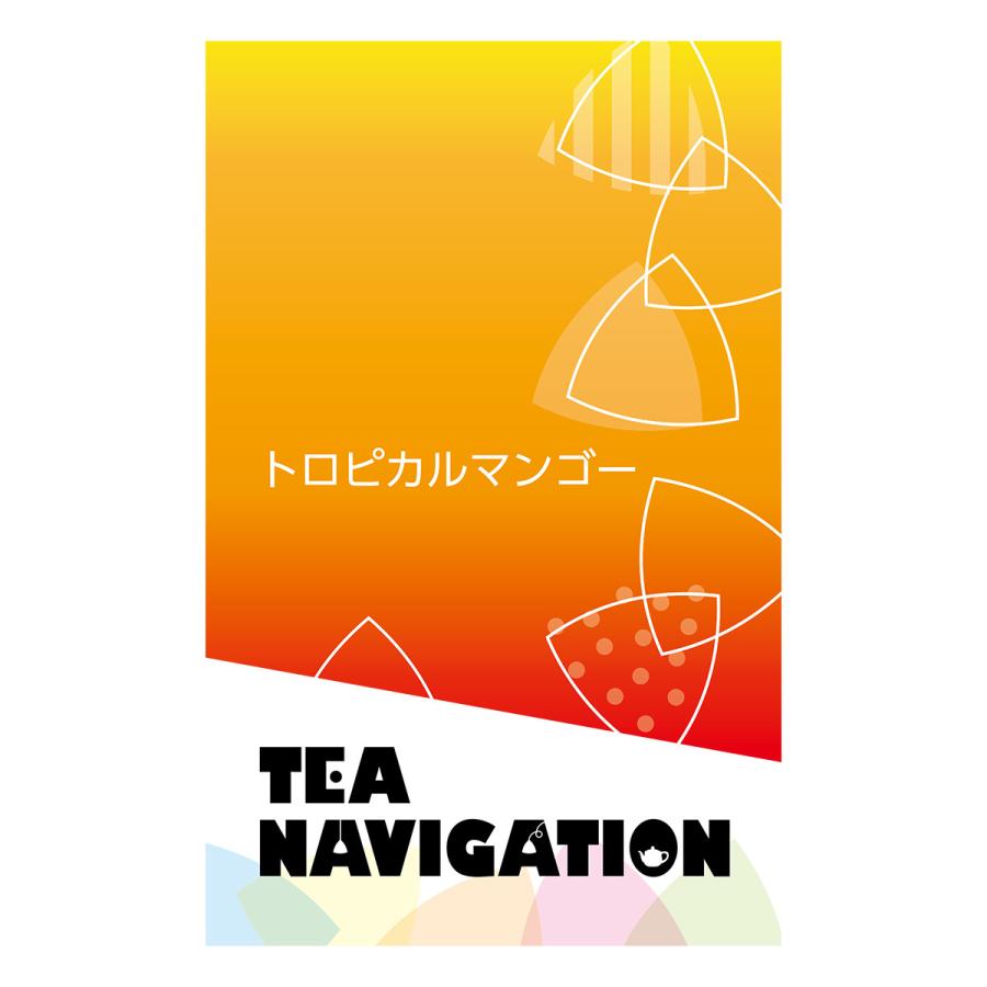 TEA NAVIGATION 紅茶 ギフト ティーバッグ 水出し アイスティー スタンドパック 5包入 トロピカルマンゴー｜tetrafleur｜08